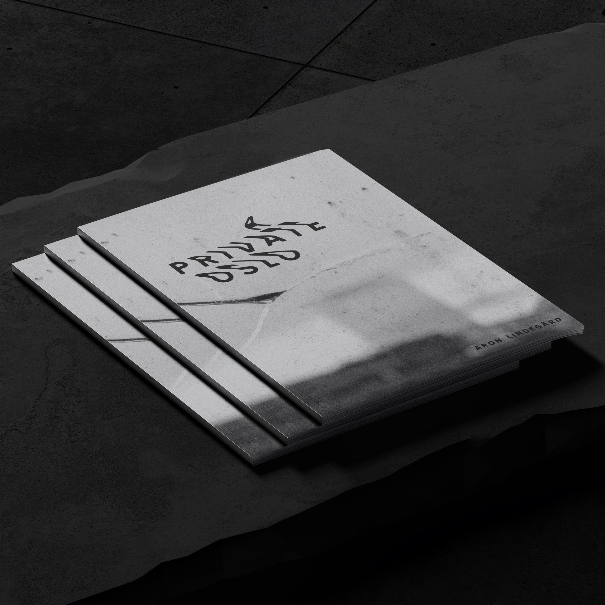 Artist's publication