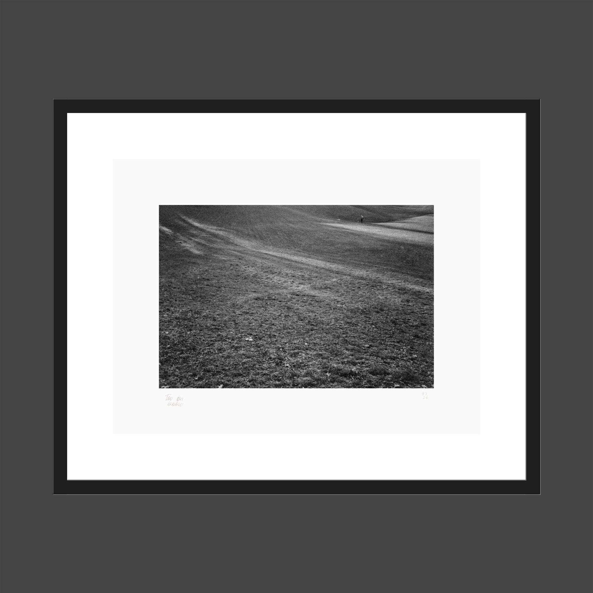 Torshovdalen - variant